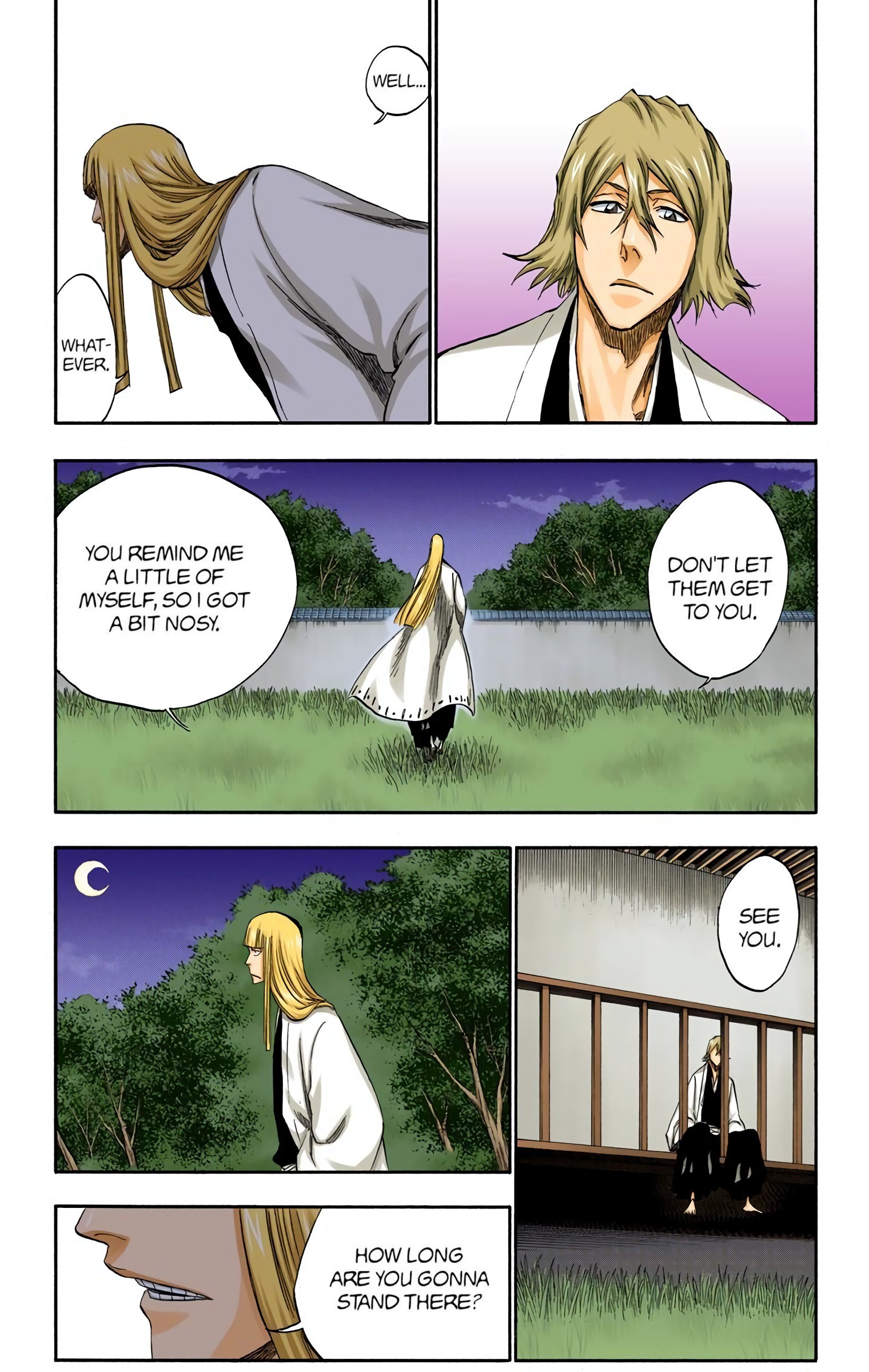 Bleach, Chapter 315.2