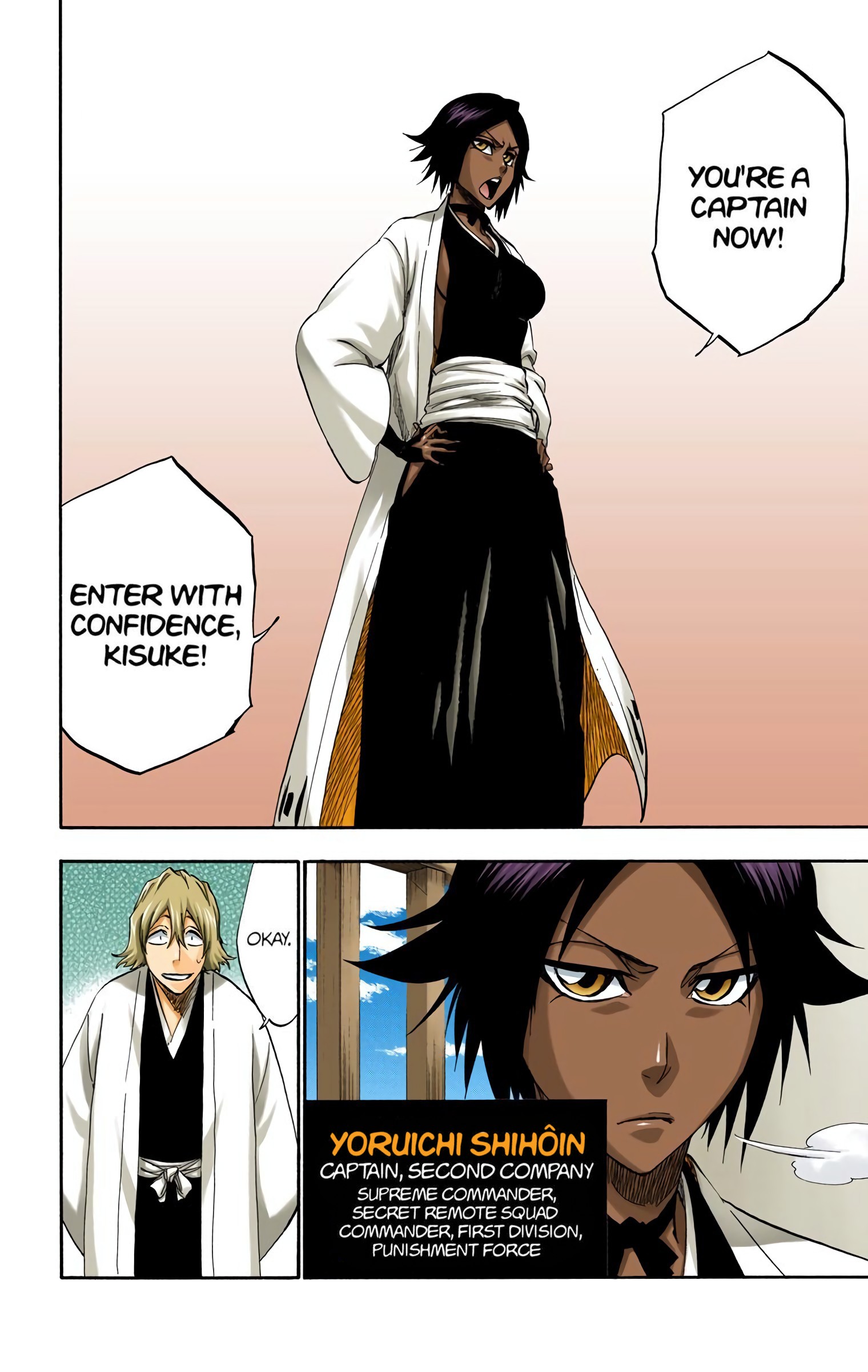 Bleach, Chapter 315.2