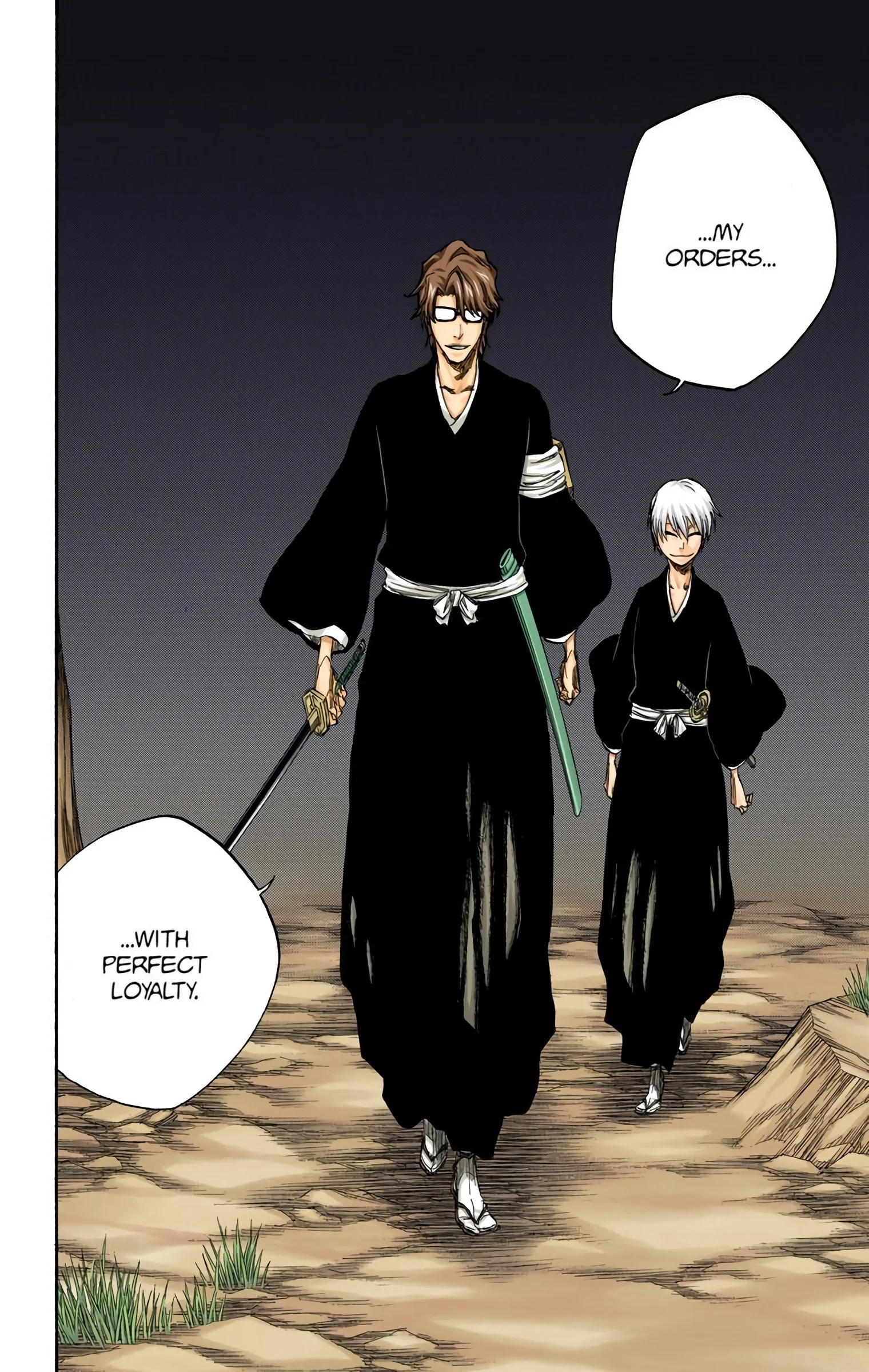 Bleach, Chapter 315.9