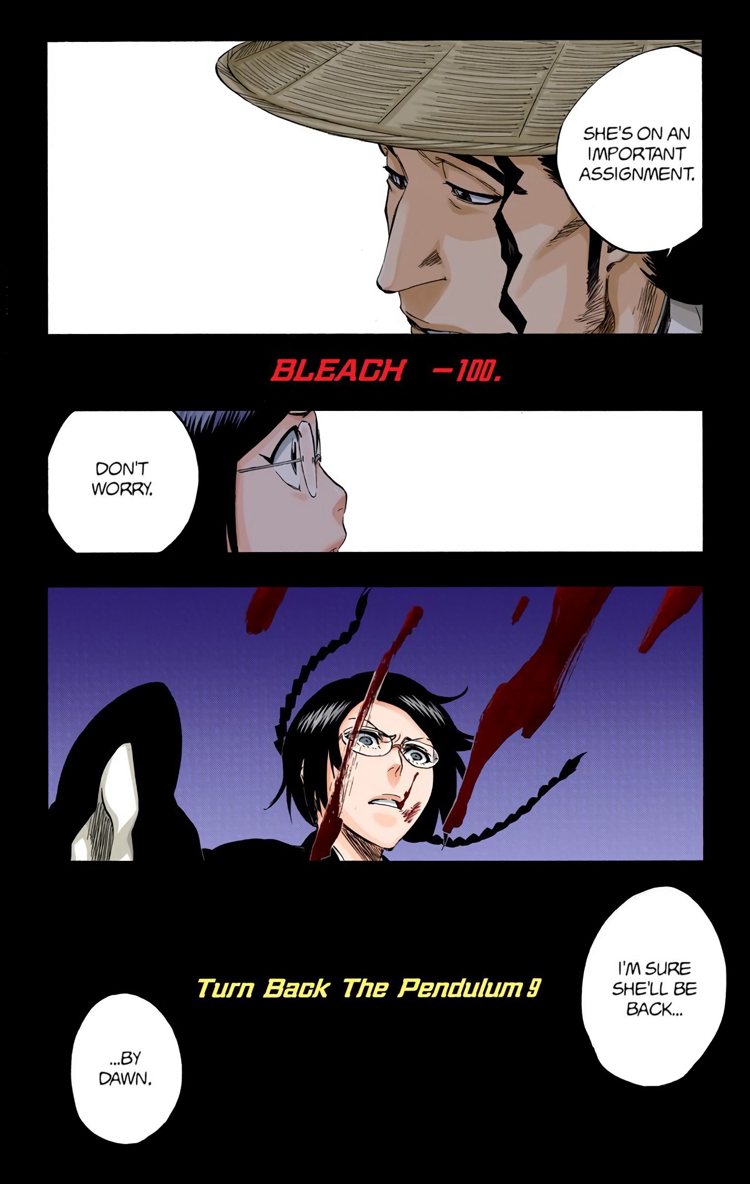 Bleach, Chapter 315.9