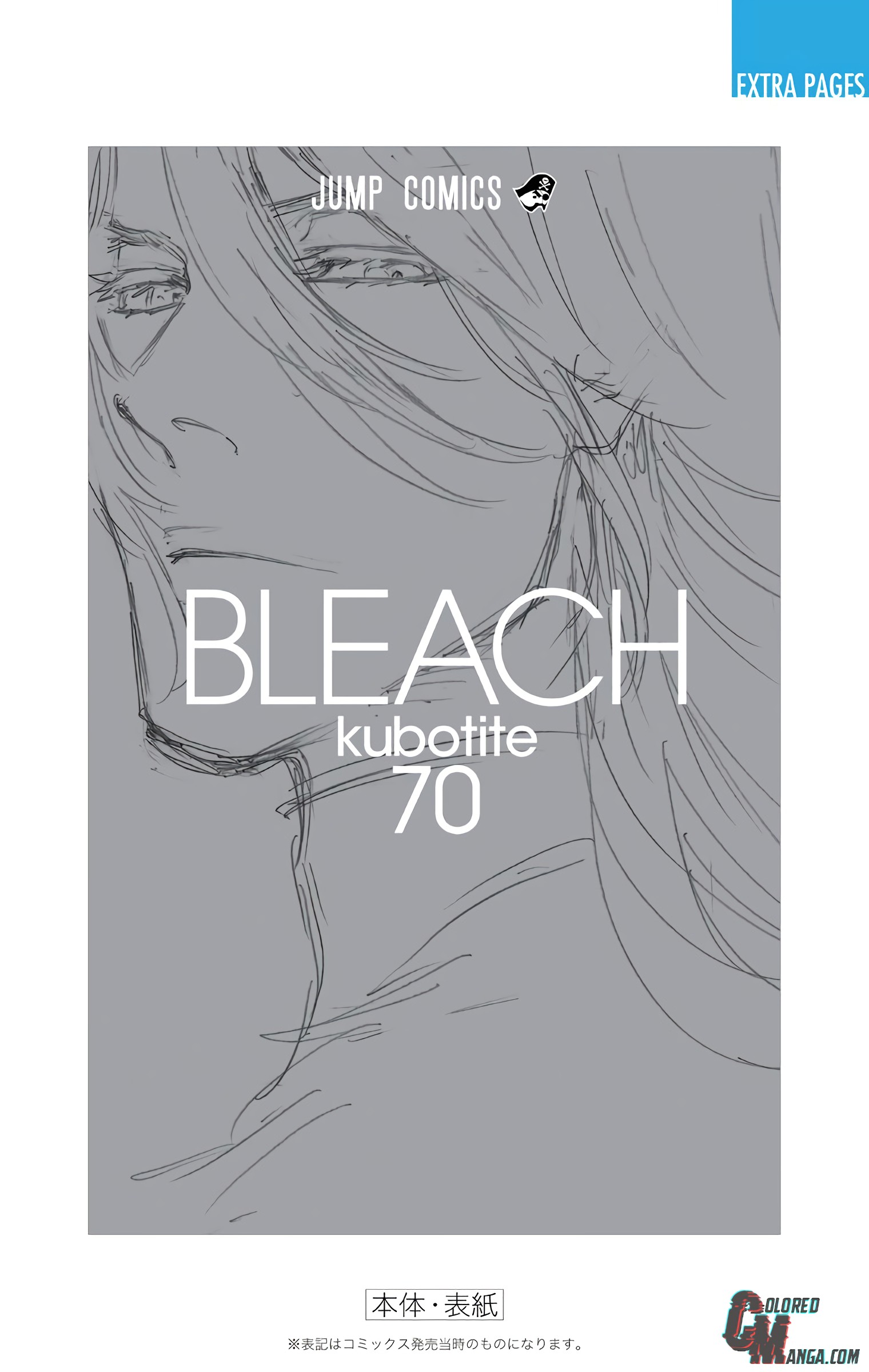 Bleach, Chapter 642.2