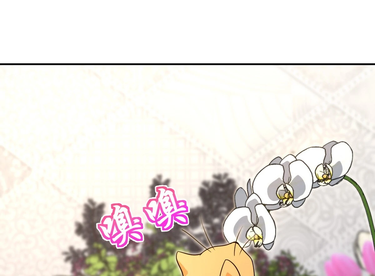 My Wife Is From a Thousand Years Ago, chapter 380