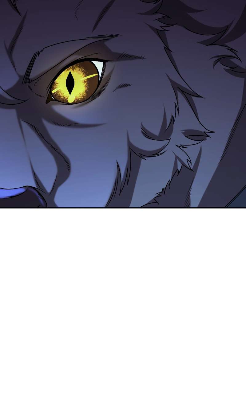 Paranoid Mage, Chapter 49