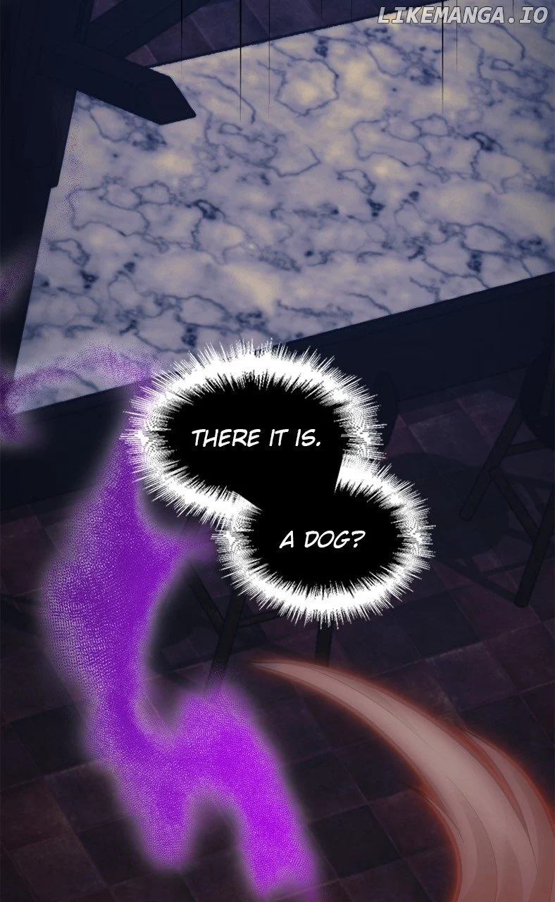 Paranoid Mage, Chapter 5
